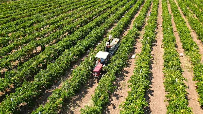 Heute werden an Landwirte rund 17,4 Milliarden Lira an Agrarsubventionen ausgezahlt