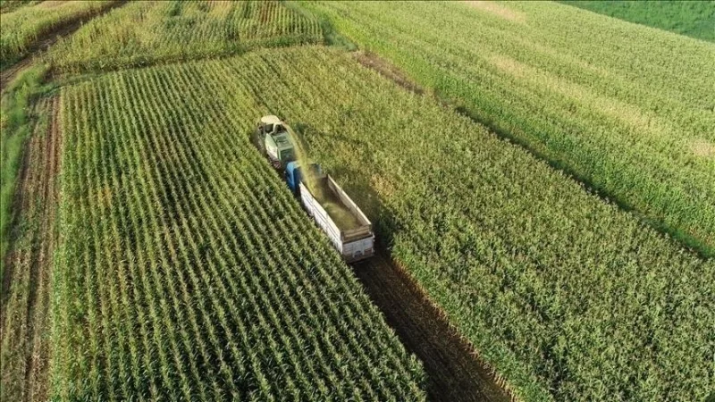 Maatalousmaiden suojelua ja käyttöä koskevat periaatteet on vahvistettu