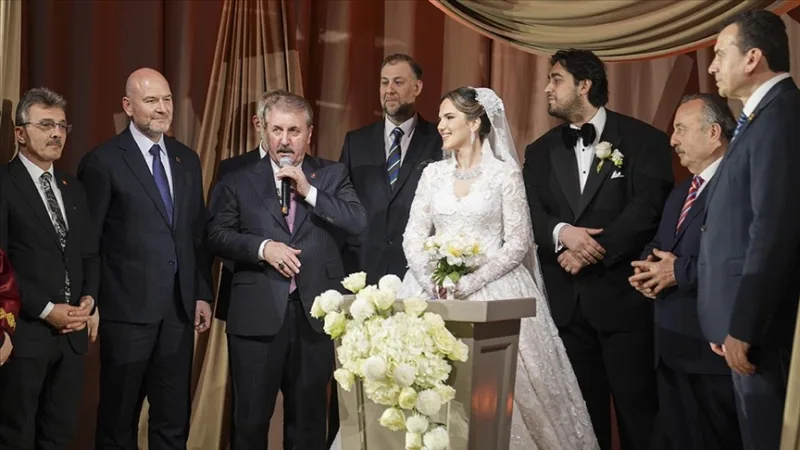 BBP:n puheenjohtaja Destici toimi häiden todistajana