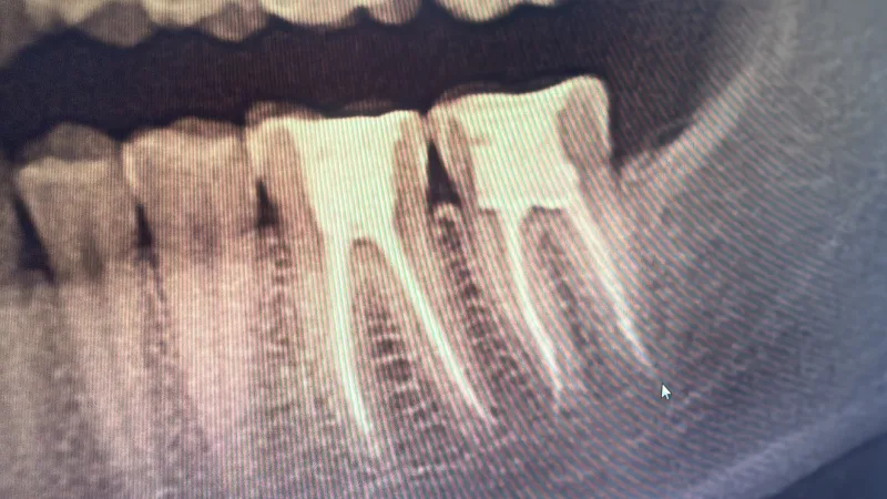 Alanya HEALTHY TEETH Dental Aesthetic — 의학 알란야에서: 온라인 주문, 가격 및 리뷰